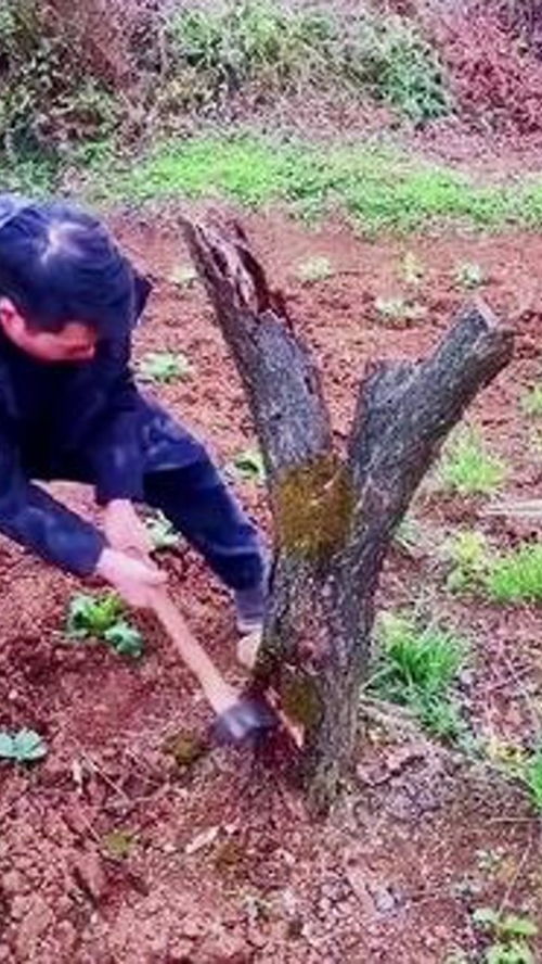木工鋸 匠心之作的實用好物分享